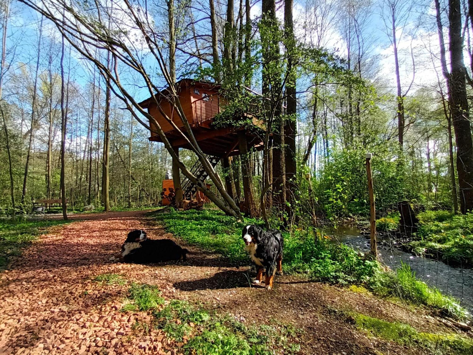 Treehouse V Brdech Villa Bohutin  Exterior photo